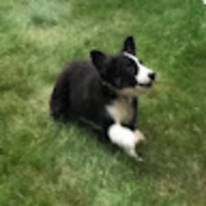 Meet your Posher, Ming